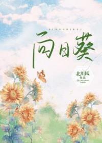 招蜂引蝶在线