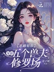 面孔成员