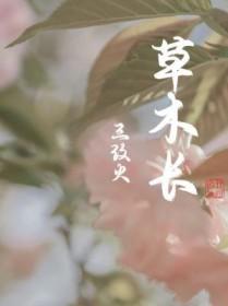 蓝水晶意思