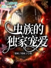纳妃是什么意思