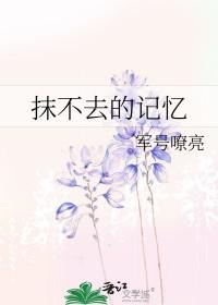 腹黑律师不好惹全文免费阅读